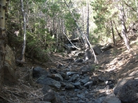 rrente Quarantore-20110911 022